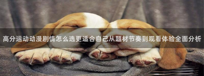 竞技动漫:高分运动动漫剧情怎么选更适合自己从题材节奏到观看体验全面分析