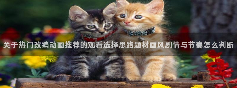 新番动画大全：关于热门改编动画推荐的观看选择思路题材画风剧情与节奏怎么判断