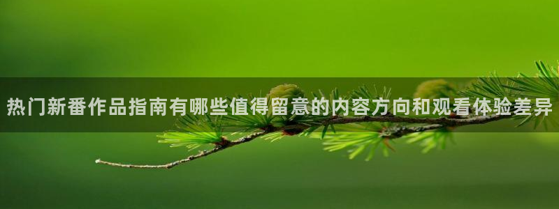 完结动漫推荐：热门新番作品指南有哪些值得留意的内容方向和观看体验差异