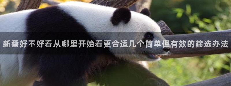动作动漫推荐：新番好不好看从哪里开始看更合适几个简单但有效的筛选办法