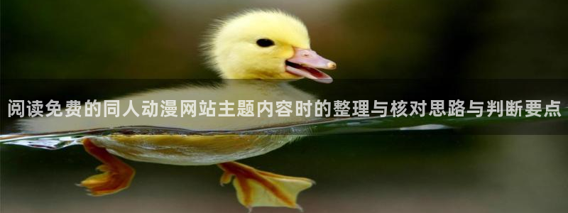 每日动漫：阅读免费的同人动漫网站主题内容时的整理与核对思路与判断要点