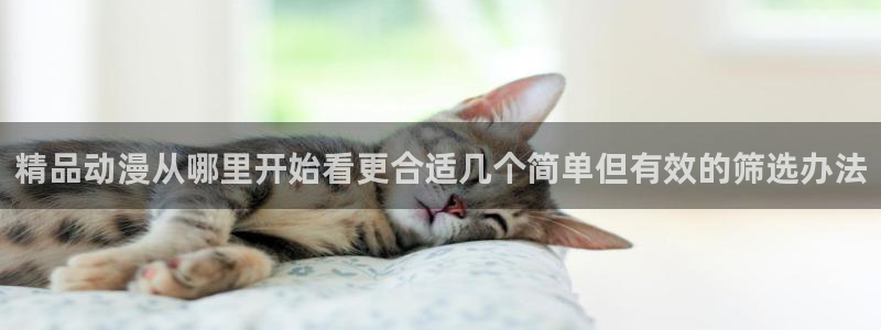 动漫热点:精品动漫从哪里开始看更合适几个简单但有效的筛选办法