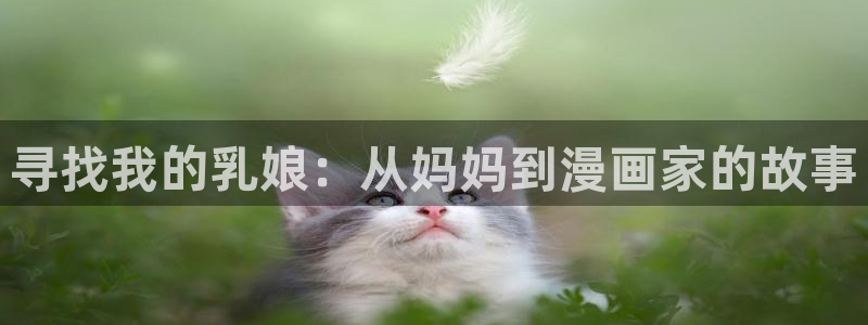 动漫推荐榜:寻找我的乳娘:从妈妈到漫画家的故事