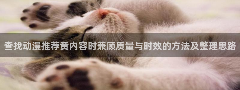 欧美动漫:查找动漫推荐黄内容时兼顾质量与时效的方法及整理思路