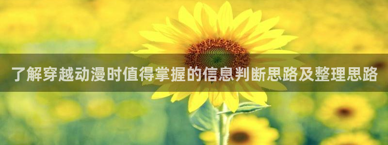 动漫推荐网站：了解穿越动漫时值得掌握的信息判断思路及整理思路